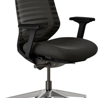 Branch Ergonomic Chair - A Versatile Desk Chair with Adjustable Lumbar Support, Breathable Mesh Backrest, and Smooth Wheels - Experience Optimal Comfort and Support - All Black